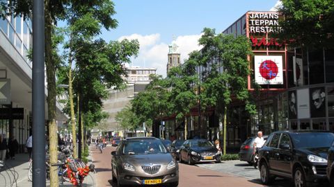 Arbres d’alignement à Rotterdam (Pays-Bas) © Valérie Vidril